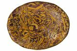 Coquina Jasper (Calligraphy Stone) Worry Stones - 1.5" Size - Photo 3